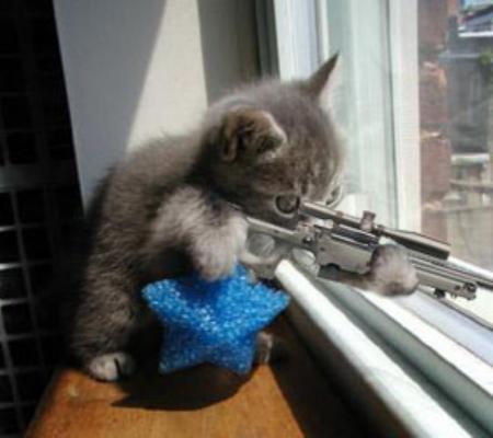 minou sniper!!